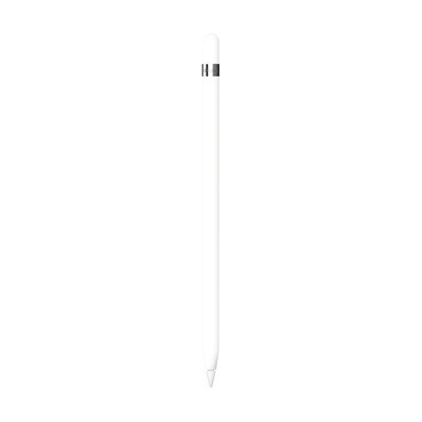 Apple Pencil (1a generazione) bianca