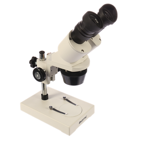 Microscopio Stereo Byomic Byo-St3