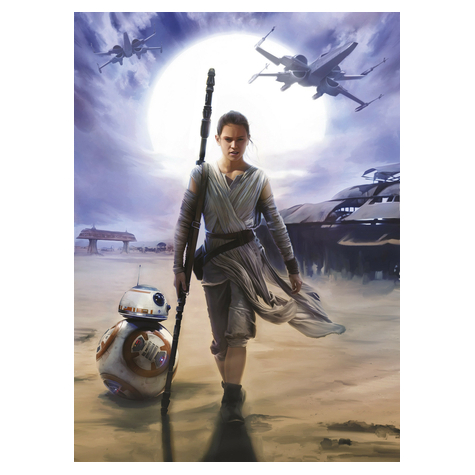 Carta Da Parati Adesiva - Star Wars Rey - Dimensioni 184 X 254 Cm