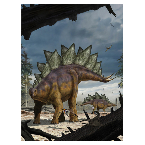 Carta Da Parati Adesiva Fotografica  - Stegosauro - Dimensioni 184 X 248 Cm