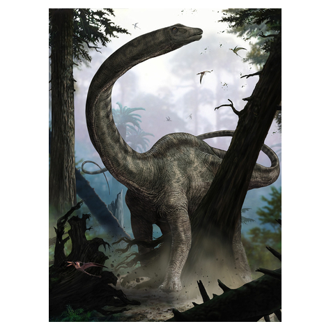 Carta Da Parati Adesiva Fotografica  - Rebbachisaurus - Formato 184 X 248 Cm