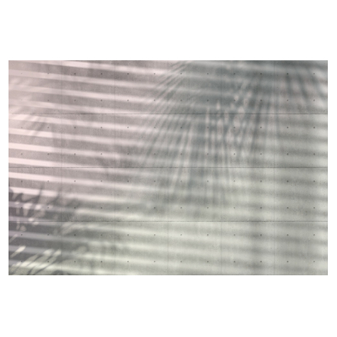 Carta Da Parati Adesiva Fotografica  - Ombre - Dimensioni 368 X 248 Cm
