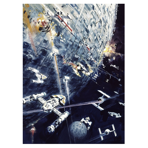 Carta Da Parati Adesiva Fotografica  - Star Wars Classic Dogfight - Dimensioni 200 X 275 Cm
