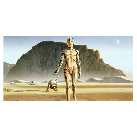 Carta Da Parati Adesiva Fotografica  - Star Wars Classic Rmq Droids - Dimensioni 500 X 250 Cm