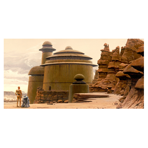 Carta Da Parati Adesiva Fotografica  - Star Wars Classic Rmq Palazzo Di Jabba - Dimensioni 500 X 250 Cm