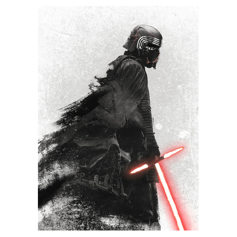 Carta Da Parati Adesiva Fotografica  - Star Wars Kylo Vader Shadow - Dimensioni 200 X 280 Cm