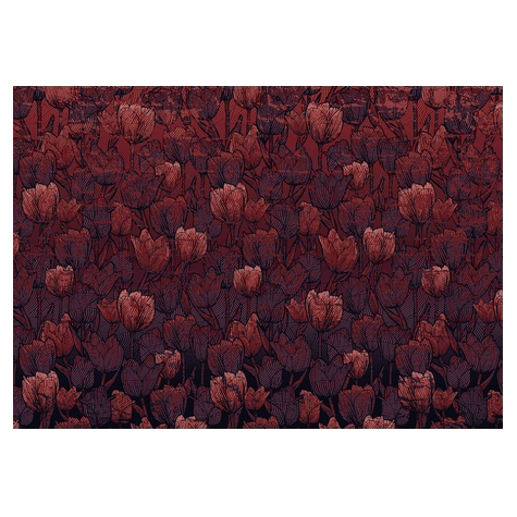 Carta Da Parati Adesiva Fotografica  - Tulipe - Dimensioni 400 X 280 Cm