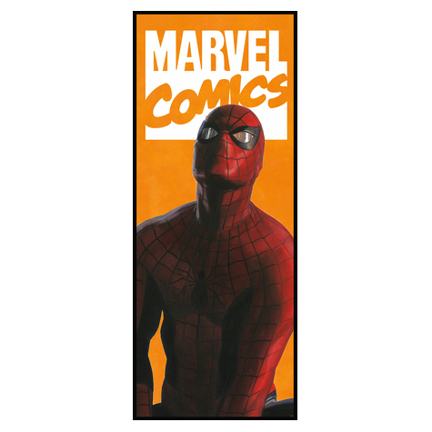 Carta Da Parati Adesiva Fotografica  - Fumetto Spider-Man - Dimensioni 100 X 250 Cm