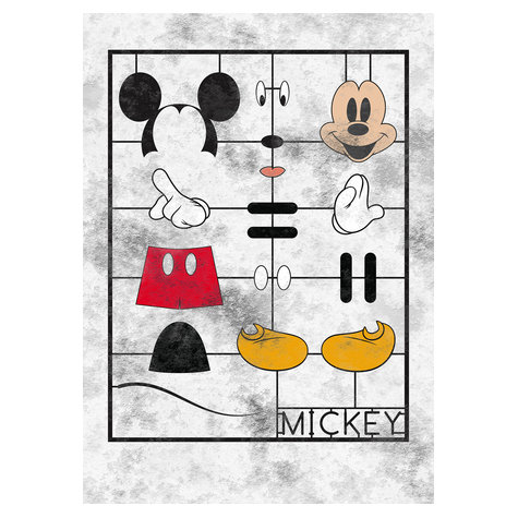 Carta Da Parati Adesiva Fotografica  - Mickey Kit - Dimensioni 200 X 280 Cm