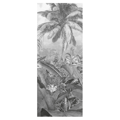 Carta Da Parati Adesiva Fotografica  - Pannello Amazonia Bianco E Nero - Dimensioni 100 X 250 Cm