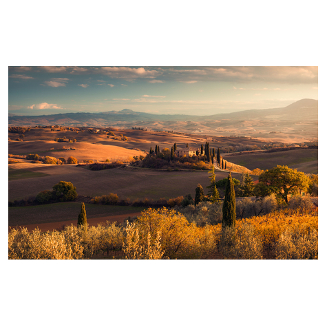 Carta Da Parati Adesiva Fotografica  - Tuscany Gold - Dimensioni 400 X 250 Cm