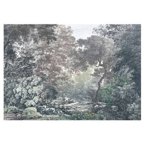 Carta Da Parati Adesiva Fotografica  - Foresta Da Favola - Dimensioni 400 X 280 Cm