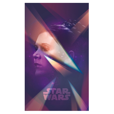 Carta Da Parati Adesiva Fotografica  - Star Wars Femmina Leia - Dimensioni 120 X 200 Cm