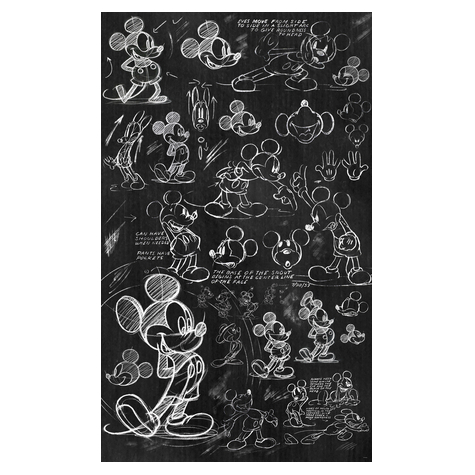 Carta Da Parati Adesiva Fotografica  - Mickey Chalkboard - Dimensioni 120 X 200 Cm
