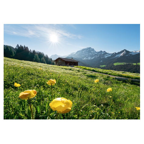 Carta Da Parati Adesiva Fotografica  - Alpine Happiness - Dimensioni 400 X 280 Cm