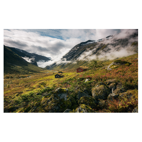 Carta Da Parati Adesiva Fotografica  - Norvegia Pura - Dimensioni 450 X 280 Cm