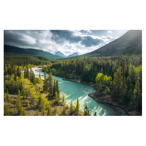 Carta Da Parati Adesiva Fotografica  - Wild Canada - Dimensioni 450 X 280 Cm