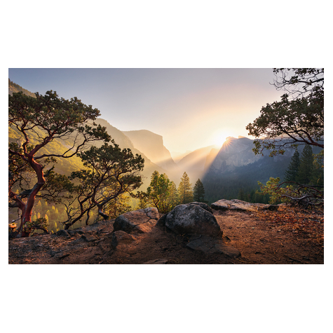 Carta Da Parati Adesiva Fotografica  - Yosemites Secret - Dimensioni 450 X 280 Cm