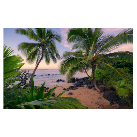 Carta Da Parati Adesiva Fotografica  - Hawaiian Dreams - Dimensioni 450 X 280 Cm