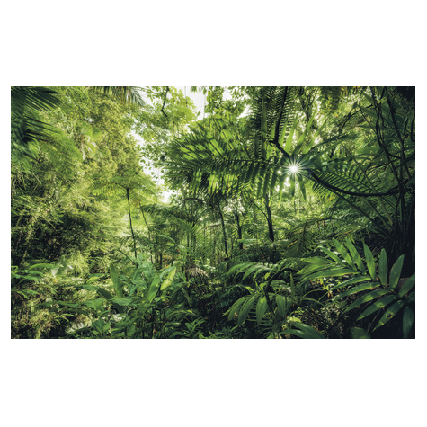 Carta Da Parati Adesiva Fotografica  - Into The Jungle - Dimensioni 400 X 250 Cm