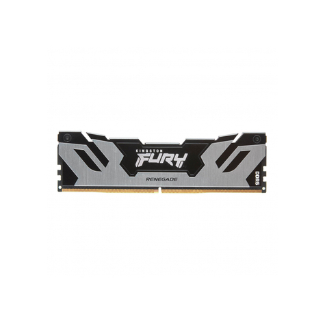 Kingston Fury Renegade 16gb 6400mt/S Ddr5 Cl32 Dimm Argento Kf564c32rs-16