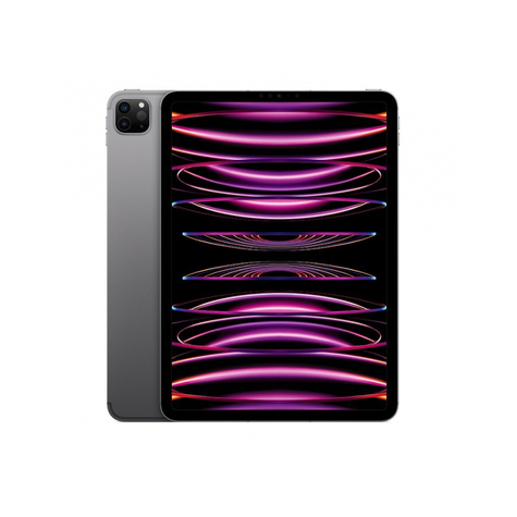 Apple Ipad Pro 11 Wi-Fi + Cellular 1tb Space Gray Di Quarta Generazione Mnyj3fd/A