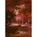 Carta Da Parati Adesiva Fotografica  - Autumna Rosso - Formato 200 X 280 Cm