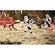 Carta Da Parati Adesiva Fotografica  - Star Wars Imperial Strike - Dimensioni 400 X 250 Cm
