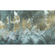 Carta Da Parati Adesiva Fotografica  - Misty Jungle - Dimensioni 400 X 250 Cm