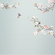 Carta Da Parati Adesiva Fotografica  - Apple Bloom - Dimensioni 250 X 250 Cm