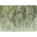 Carta Da Parati Adesiva Fotografica  - Fronde Di Palma - Dimensioni 350 X 250 Cm