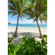 Carta Da Parati Adesiva Fotografica  - Palmy Beach - Dimensioni 200 X 280 Cm
