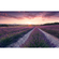 Carta Da Parati Adesiva Fotografica  - Lavender Dream - Dimensioni 450 X 280 Cm