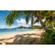 Carta Da Parati Adesiva Fotografica  - Beach Oasis South Seas - Dimensioni 450 X 280 Cm