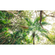 Carta Da Parati Adesiva Fotografica  - Touch The Jungle - Dimensioni 450 X 280 Cm
