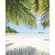 Carta Da Parati Adesiva Fotografica  - Under The Palmtree - Dimensioni 200 X 250 Cm