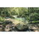 Carta Da Parati Adesiva Fotografica  - Tranquil Pool - Dimensioni 400 X 250 Cm
